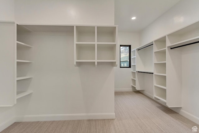 909 W 1180 N, Pleasant Grove, UT 84062 - walk in closet featuring carpet