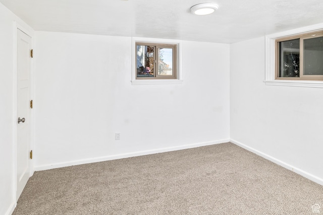 basement featuring carpet floors
