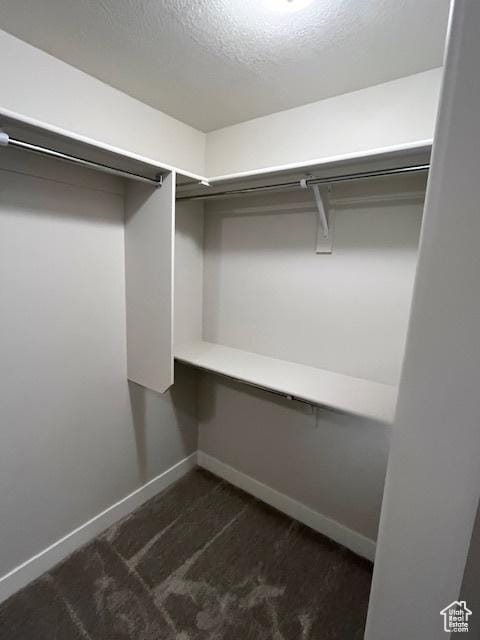 1538 N 3890th St W, Lehi, UT 84043 - spacious closet with dark carpet