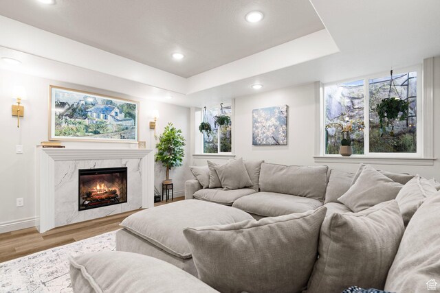 2418 W 4975 N, Cedar City, UT 84721 - living room featuring a raised ceiling, a premium fireplace, and hardwood / wood-style floors