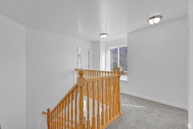 645 N 800 W, Brigham City, UT 84302 - hallway with carpet flooring