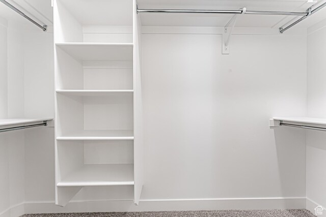 4696 S Alder Dr Unit 214, Mapleton, UT 84664 - view of walk in closet