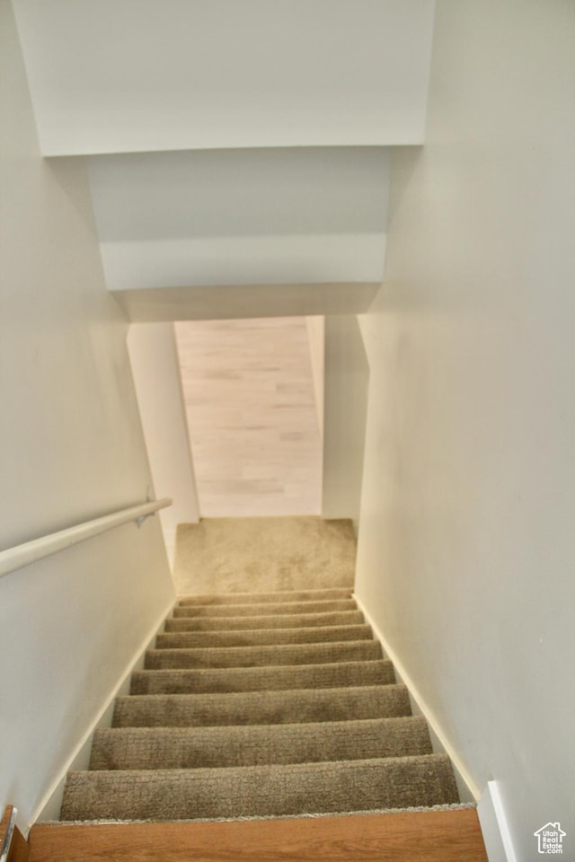 staircase with carpet