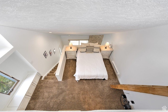 286 W Eagles Roost St Unit D-101, Brian Head, UT 84719 - bedroom featuring dark carpet, a textured ceiling, and a baseboard heating unit
