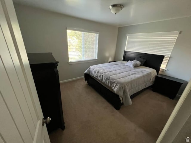 127 Mason Ln, North Salt Lake, UT 84054 - view of carpeted bedroom