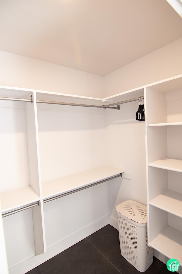 145 Crimson Cliffs Dr, Moab, UT 84532 - view of walk in closet