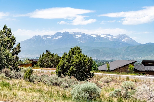 2265 E Flat Top Mountain Dr Unit 80, Heber City, UT 84032