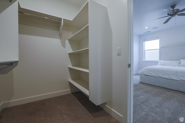 651 W Owen Dr, St George, UT 84790 - walk in closet with ceiling fan and carpet flooring