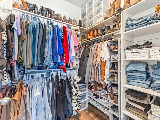 spacious closet featuring hardwood / wood-style floors