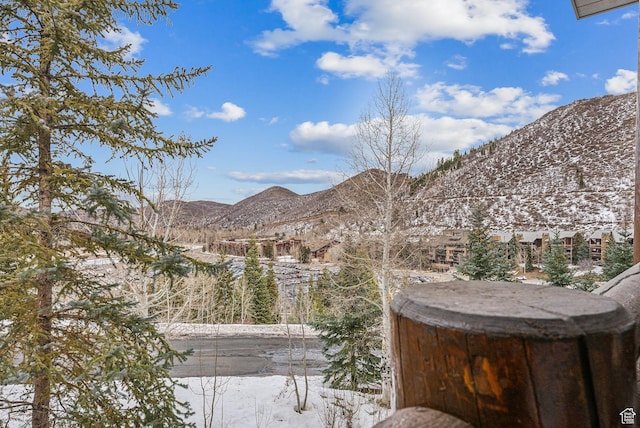 property view of mountains