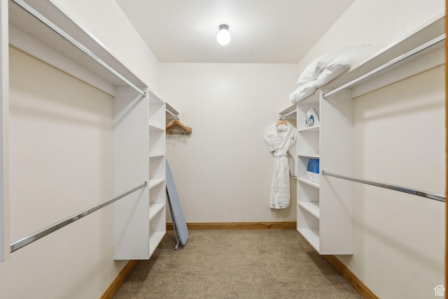 spacious closet featuring light colored carpet