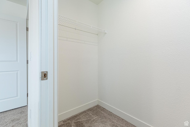 442 W Pipe Springs Dr, Kanab, UT 84741 - walk in closet featuring carpet