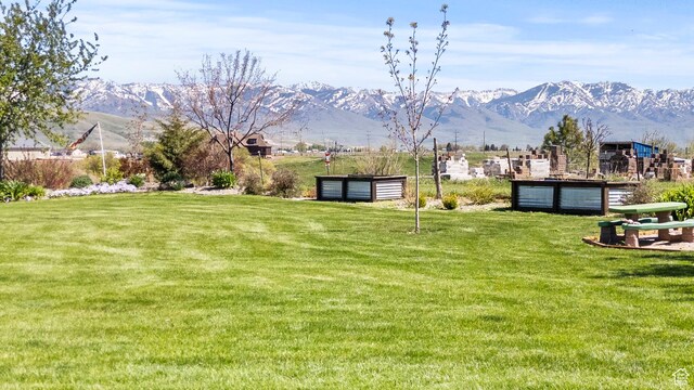 view of yard featuring a mountain view