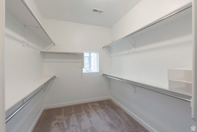 walk in closet featuring carpet flooring and visible vents
