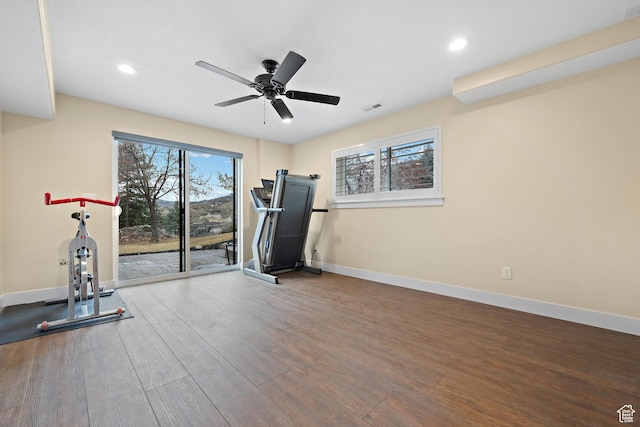 1533 Rosanna Ln, Alpine, UT 84004 - exercise area with ceiling fan and hardwood / wood-style floors