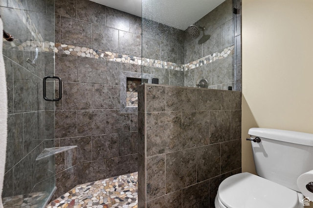 1533 Rosanna Ln, Alpine, UT 84004 - bathroom with a shower with door and toilet