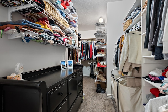 1533 Rosanna Ln, Alpine, UT 84004 - walk in closet featuring light colored carpet