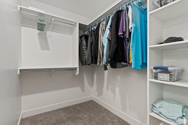 2075 N 4100 W Unit 473, Lehi, UT 84043 - spacious closet with carpet floors