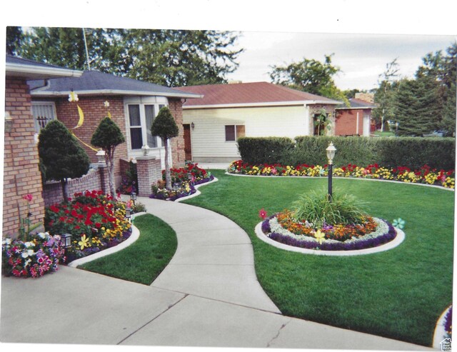 single story home with brick siding and a front yard