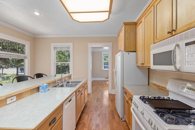 291 N Main St, Hyde Park, UT 84318 - kitchen featuring crown molding, sink, white appliances, and light hardwood / wood-style flooring