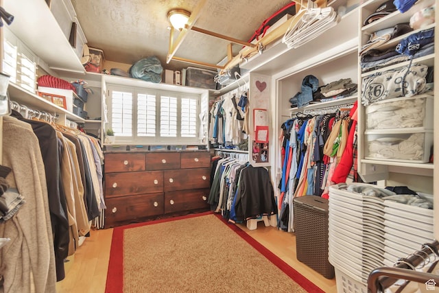 1737 N Sego Ln, Provo, UT 84604 - walk in closet with light wood-type flooring