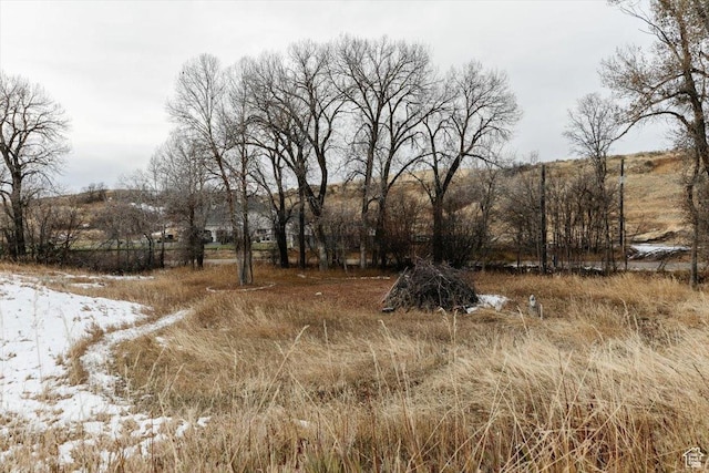 view of snowy landscape