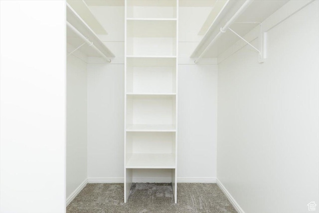 walk in closet with carpet