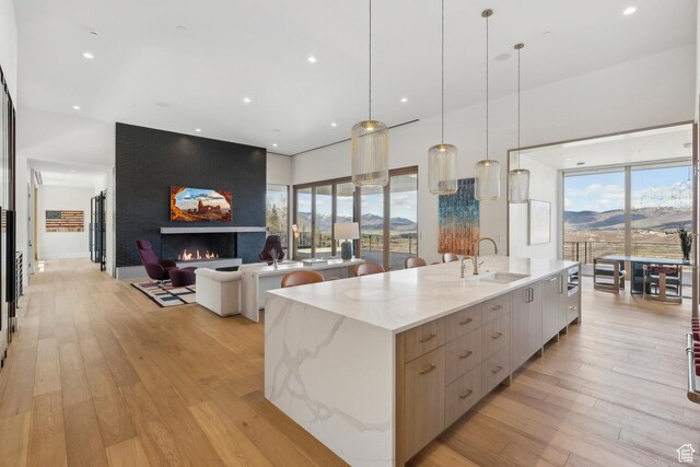 8195 N Ranch Garden Rd, Park City, UT 84098 - kitchen featuring modern cabinets, a sink, a spacious island, a large fireplace, and light wood-type flooring