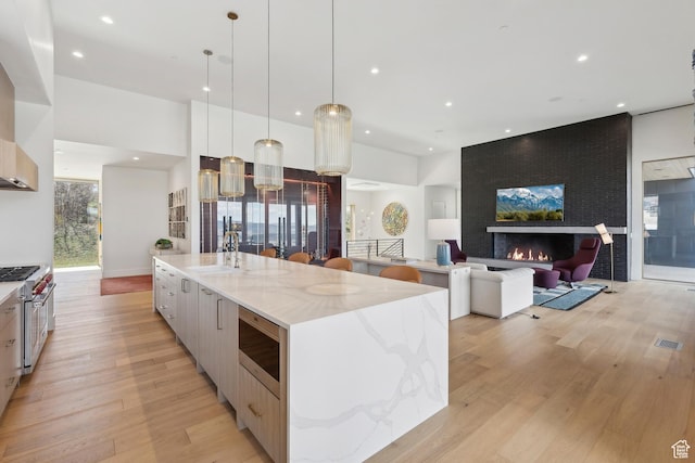 8195 N Ranch Garden Rd, Park City, UT 84098 - kitchen with stainless steel appliances, modern cabinets, a spacious island, light wood finished floors, and a sink