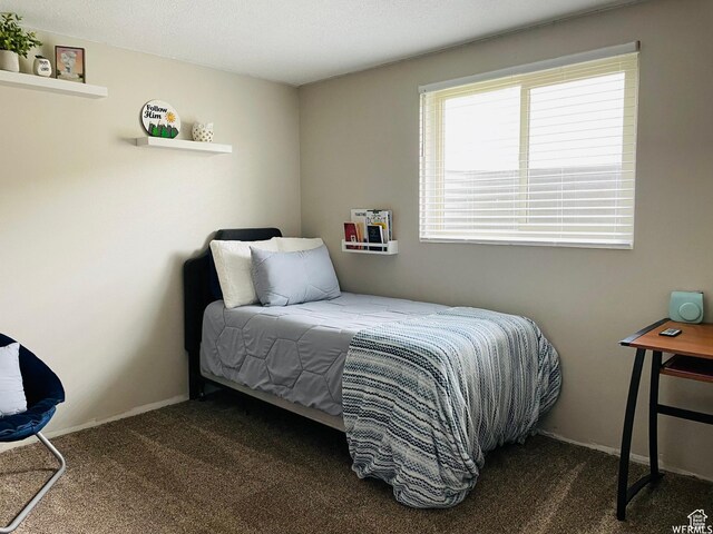 500 W 200 N, Paris, ID 83261 - bedroom featuring carpet floors