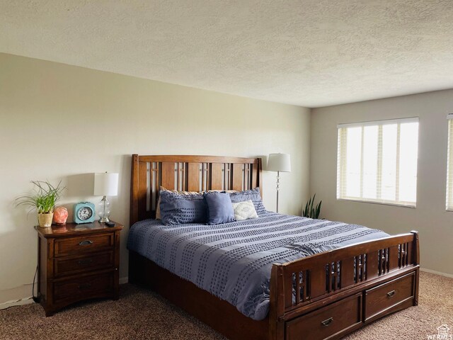500 W 200 N, Paris, ID 83261 - bedroom with carpet floors and a textured ceiling