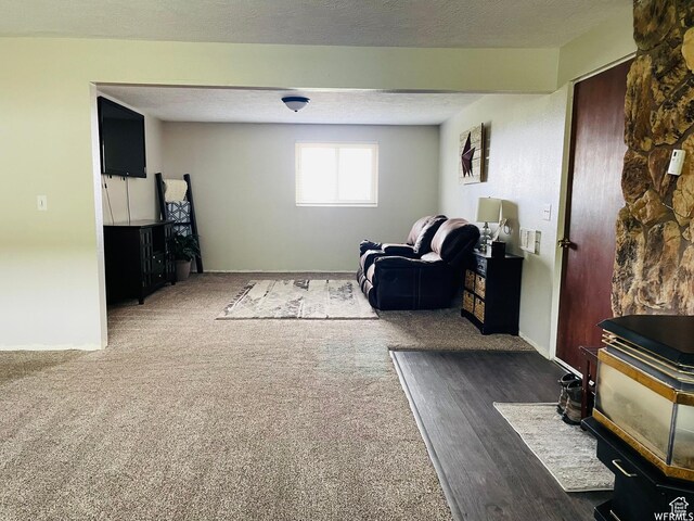 500 W 200 N, Paris, ID 83261 - living room with dark carpet and a textured ceiling