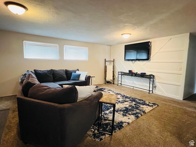 500 W 200 N, Paris, ID 83261 - living room with carpet flooring and a textured ceiling