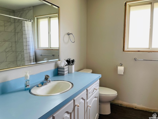 500 W 200 N, Paris, ID 83261 - bathroom featuring hardwood / wood-style flooring, vanity, a shower with shower curtain, and toilet