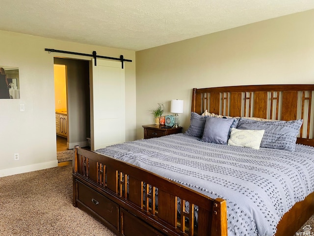 500 W 200 N, Paris, ID 83261 - bedroom with a barn door, carpet, and a textured ceiling