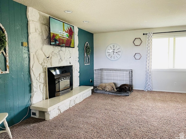 500 W 200 N, Paris, ID 83261 - carpeted living room featuring a textured ceiling