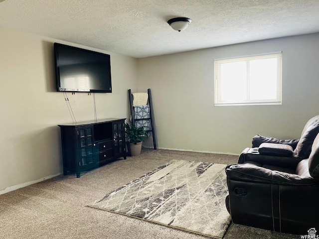 500 W 200 N, Paris, ID 83261 - living room with carpet and a textured ceiling