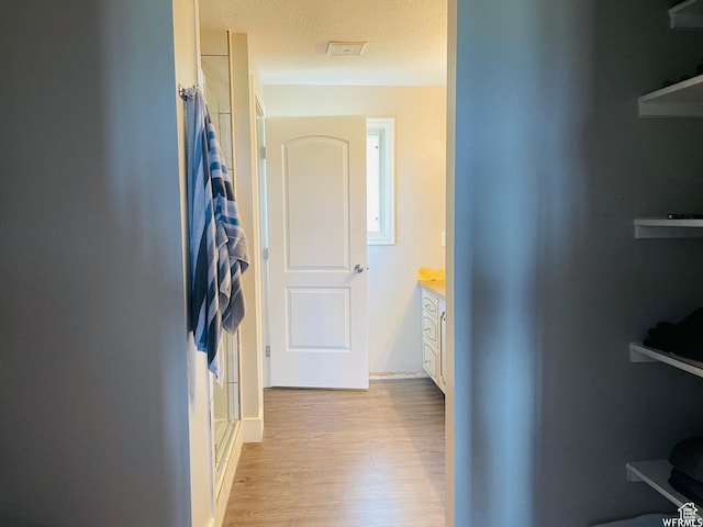 500 W 200 N, Paris, ID 83261 - hall featuring light hardwood / wood-style flooring and a textured ceiling
