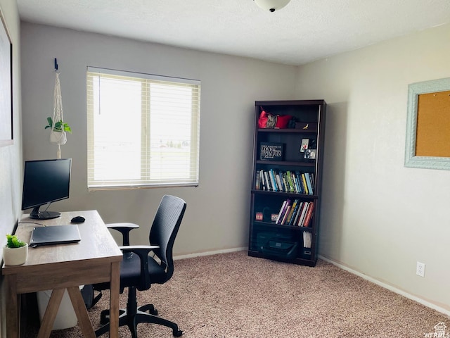 500 W 200 N, Paris, ID 83261 - office area featuring light colored carpet