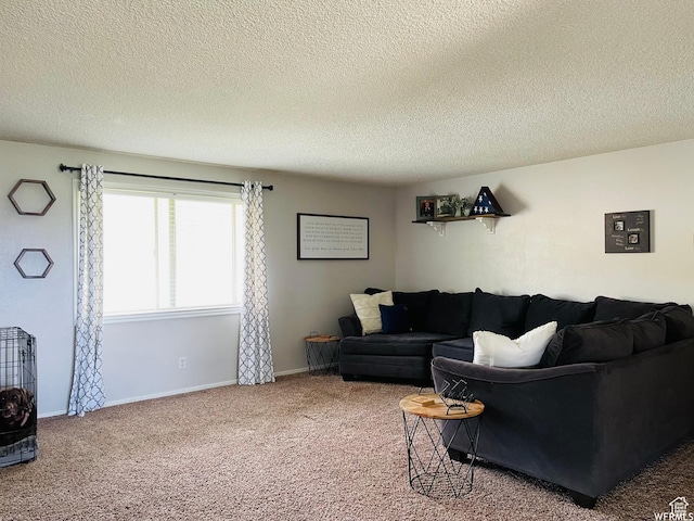 500 W 200 N, Paris, ID 83261 - living room featuring a textured ceiling and carpet