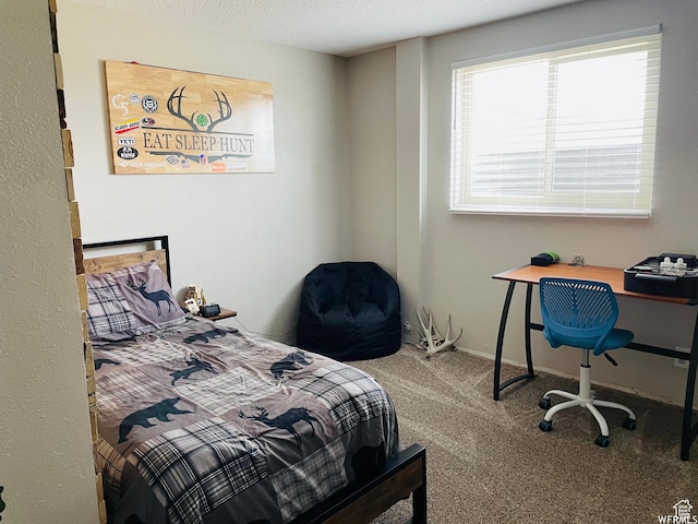 500 W 200 N, Paris, ID 83261 - bedroom with a textured ceiling and carpet flooring
