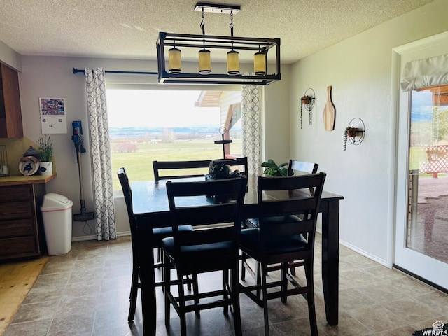500 W 200 N, Paris, ID 83261 - dining room featuring a healthy amount of sunlight, track lighting, and a textured ceiling