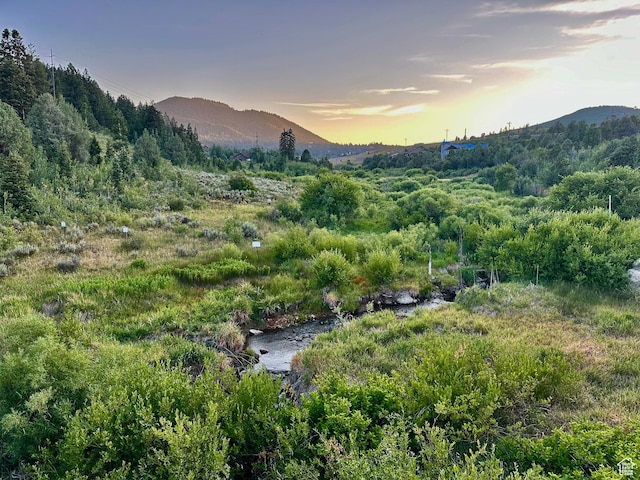 4086 W Crest Ct Unit 317, Park City, UT 84098 - photo 9