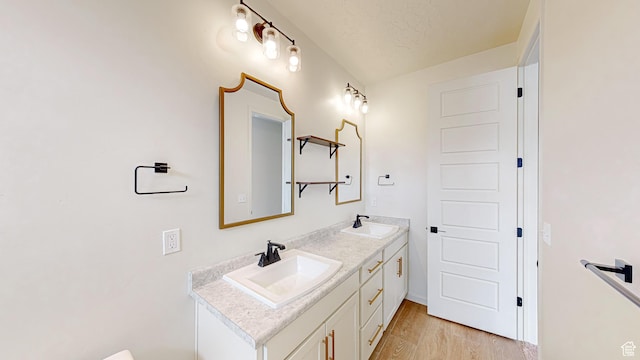 bathroom with hardwood / wood-style flooring and vanity