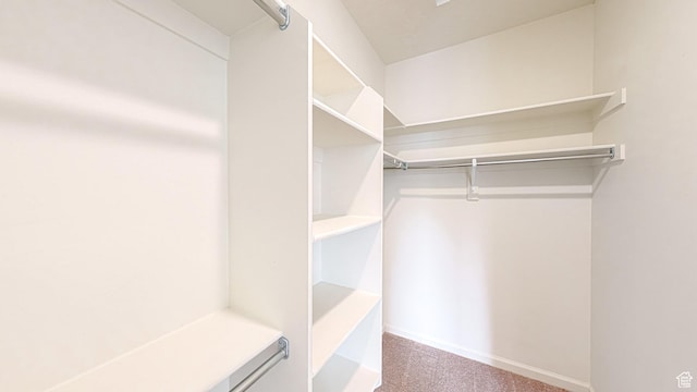 walk in closet with carpet