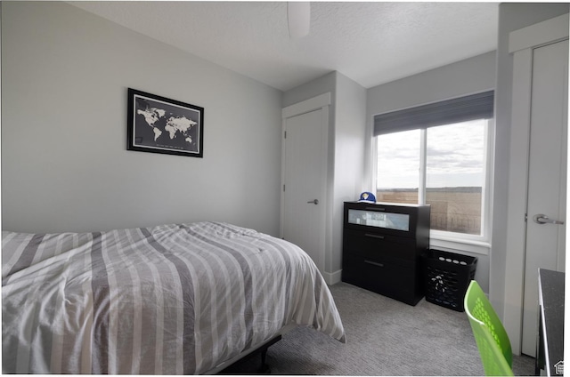 4093 E 4000 S, Vernal, UT 84078 - bedroom with light carpet and a textured ceiling