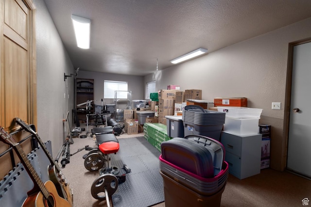 4111 E 4000 S, Vernal, UT 84078 - view of storage