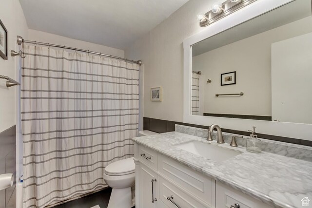 bathroom featuring vanity, a shower with curtain, and toilet