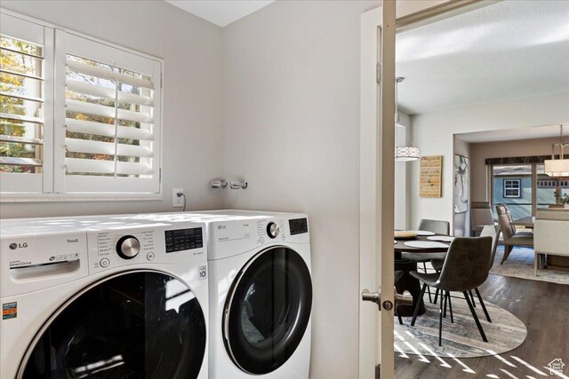 clothes washing area featuring dark hardwood / wood-style floors and independent washer and dryer
