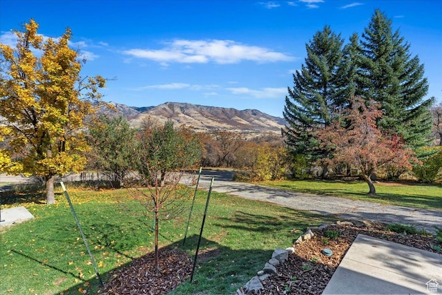 view of yard with a mountain view
